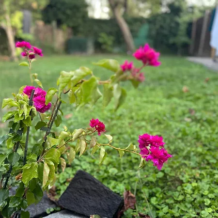 Juicy Private With Jacuzzi Daire Szentendre