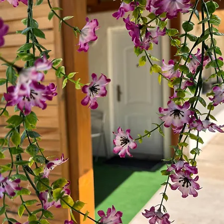 Appartamento Juicy Private With Jacuzzi *